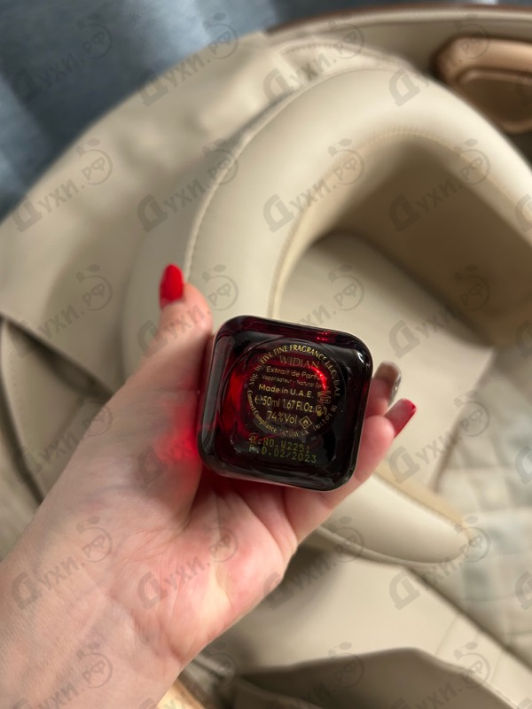 Купить AJ Arabia Hili