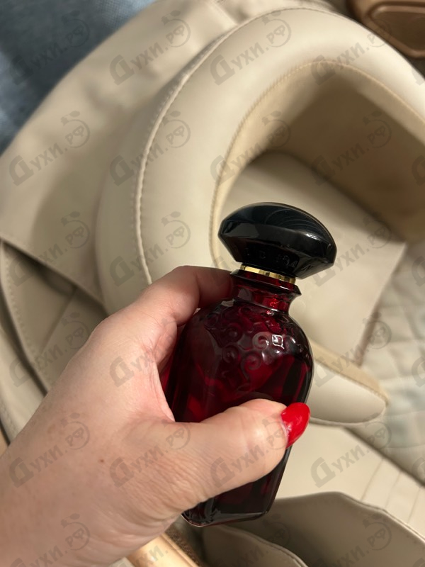 Купить AJ Arabia Hili