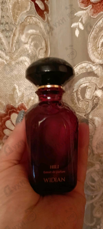 Отзыв AJ Arabia Hili