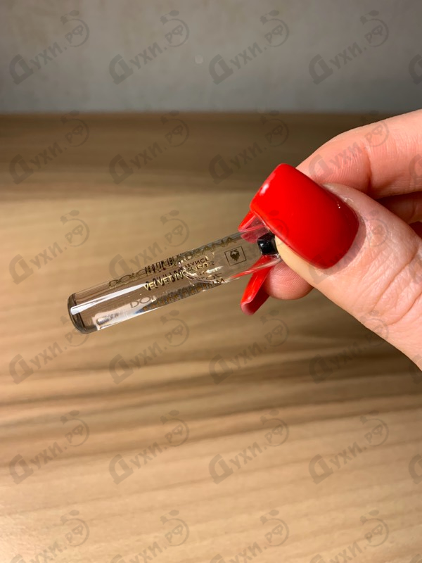 Купить Dolce & Gabbana Velvet Incenso