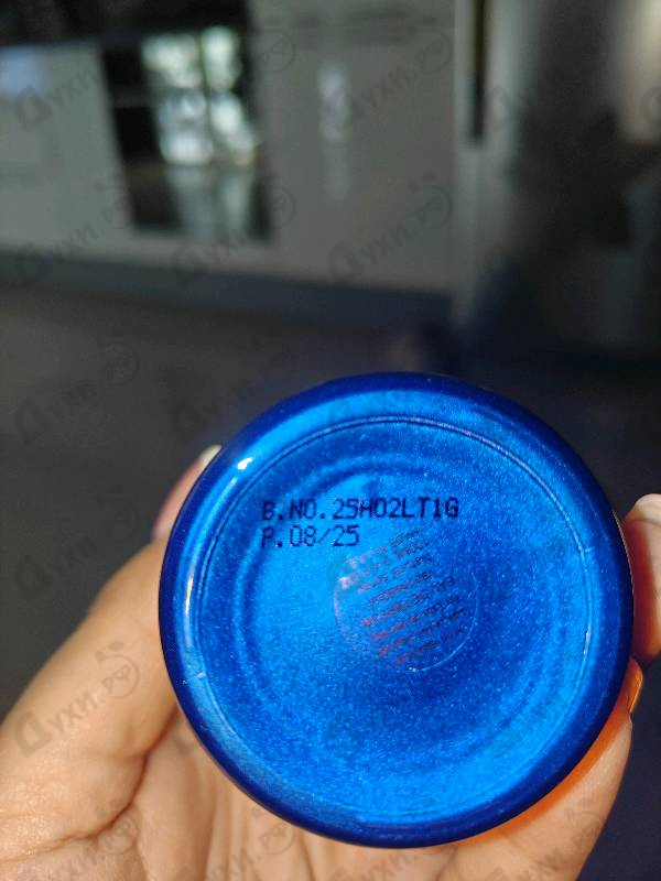 Купить Azora от Attar Collection