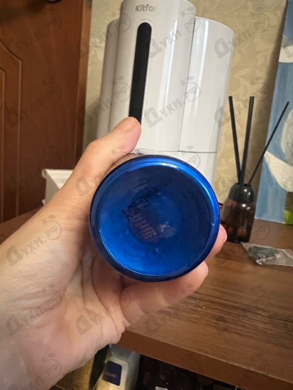 Купить Azora от Attar Collection