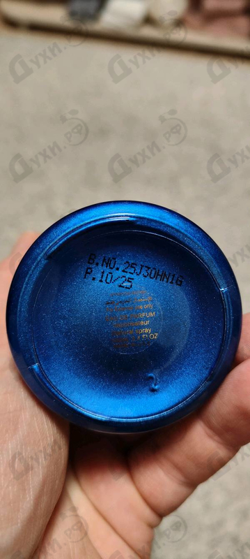 Отзыв Attar Collection Azora