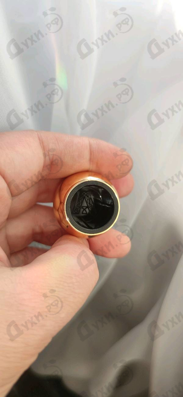 Купить Azora от Attar Collection