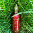 Отзыв Attar Collection Hayati