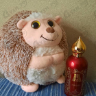 Отзывы Attar Collection Hayati