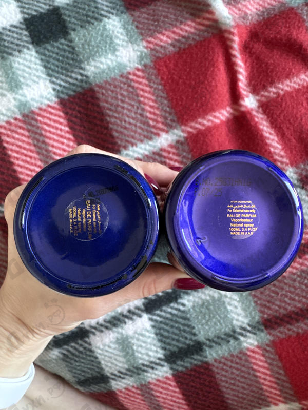 Купить Khaltat Night от Attar Collection