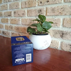 Парфюм Attar Collection Khaltat Night