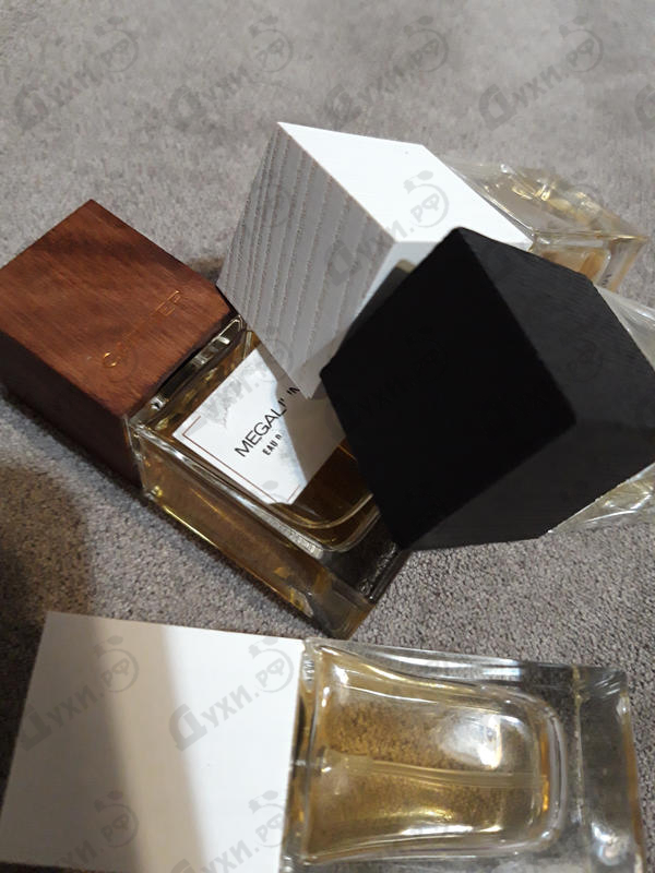 Парфюмерия Carner Barcelona Megalium Духи Megalium от Carner Barcelona