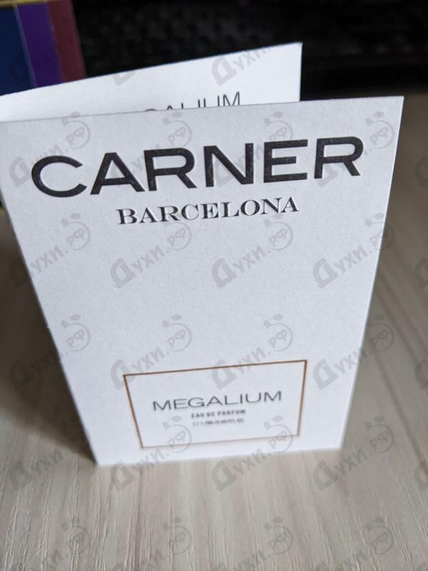 Отзыв Carner Barcelona Megalium