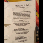 Отзыв Carner Barcelona Megalium