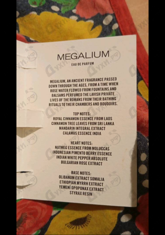 Купить Megalium от Carner Barcelona