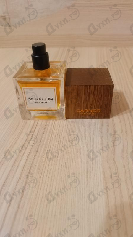 Купить Megalium от Carner Barcelona