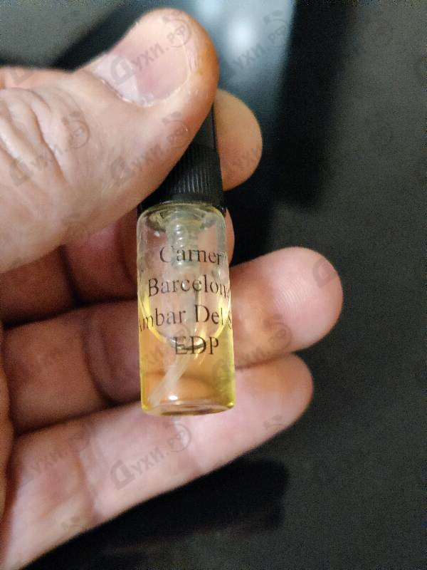 Купить Ambar Del Sur от Carner Barcelona