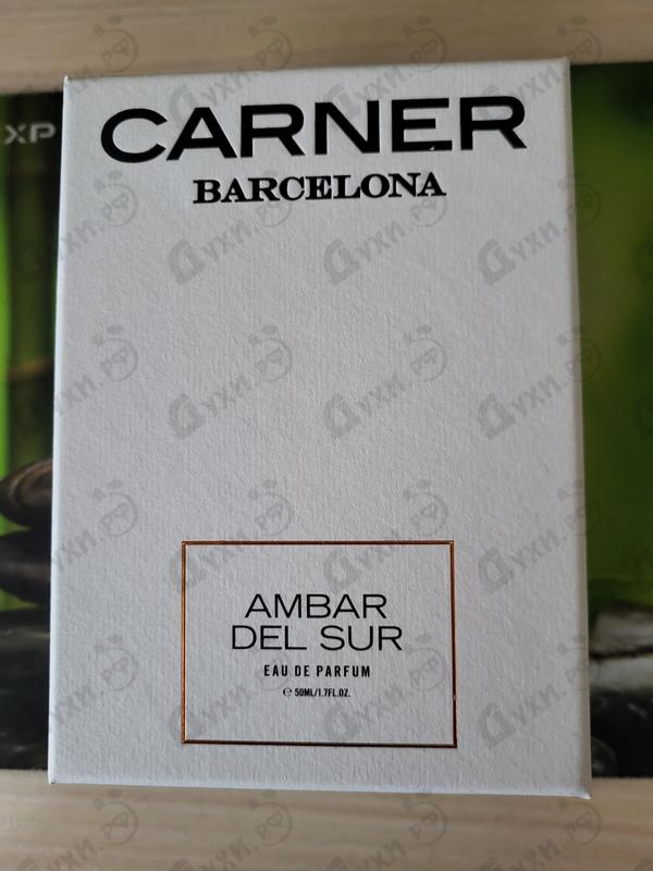 Купить Ambar Del Sur от Carner Barcelona