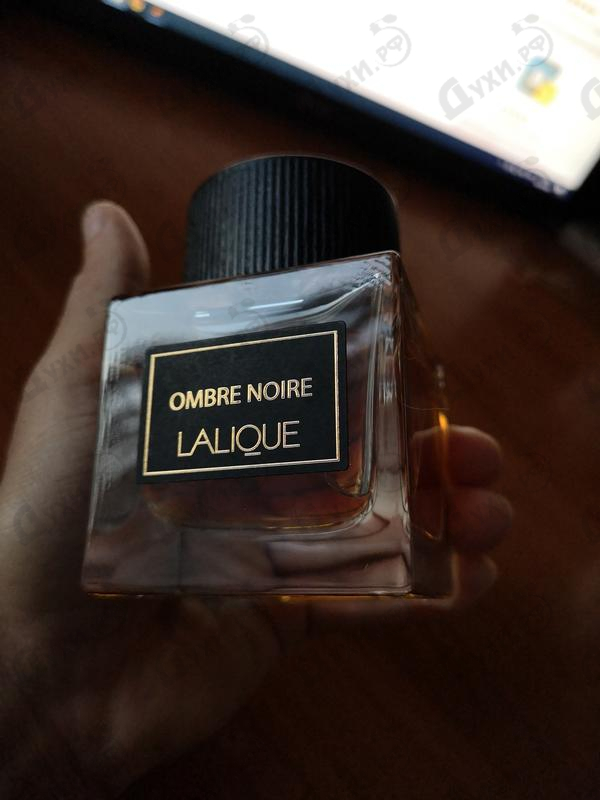 Купить Ombre Noire от Lalique