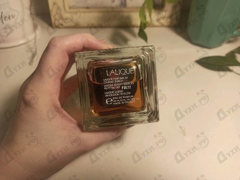 Купить Ombre Noire от Lalique