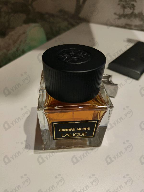 Отзывы Lalique Ombre Noire