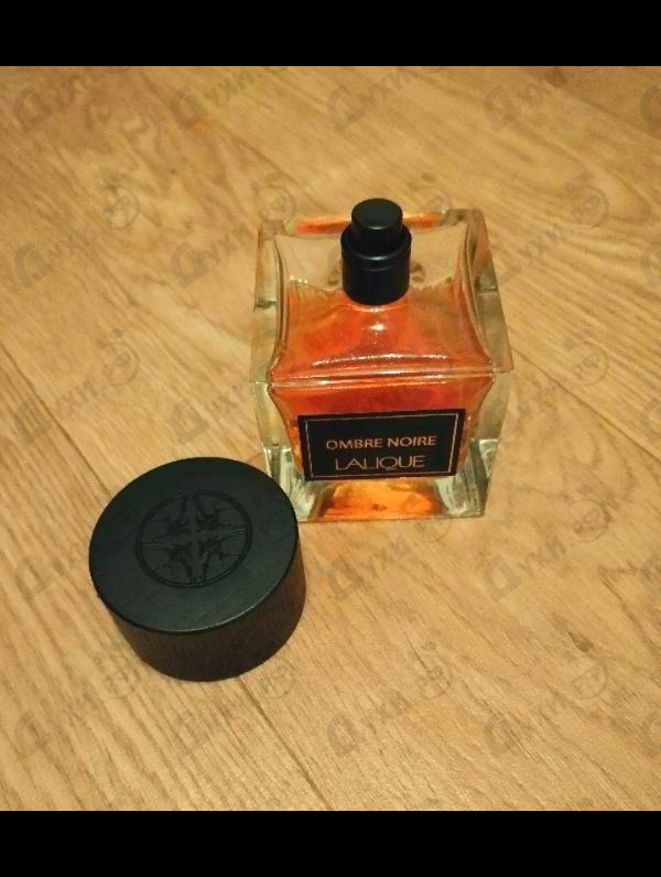 Парфюмерия Lalique Ombre Noire