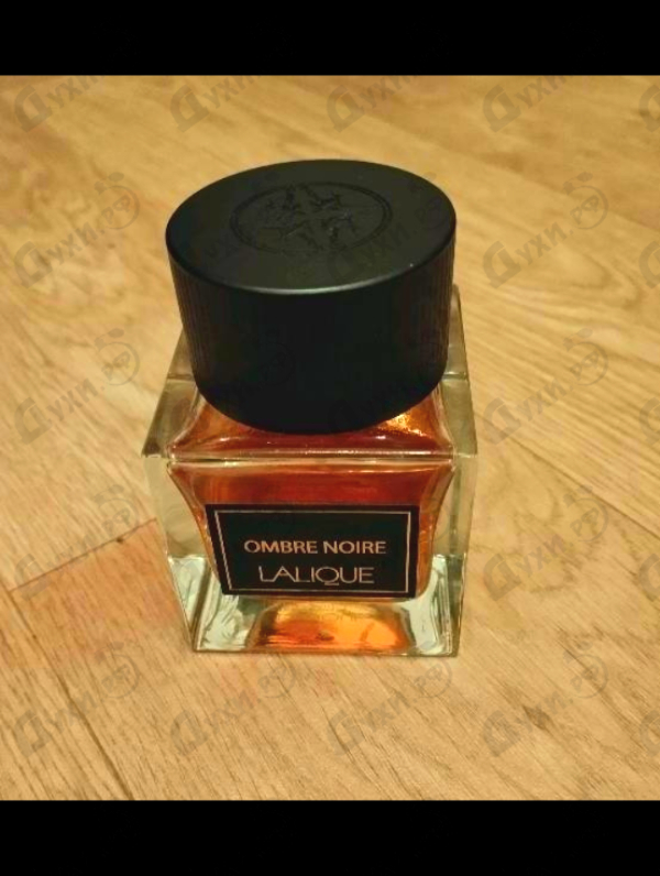 Купить Ombre Noire от Lalique