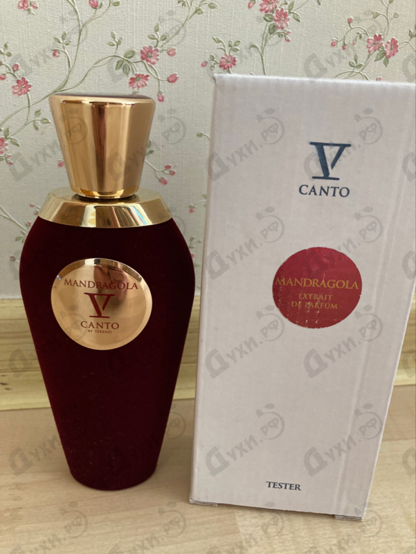 Купить Mandragola от V Canto