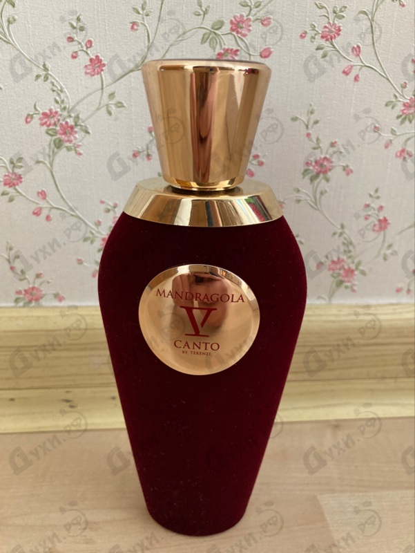 Парфюмерия Mandragola от V Canto Отзыв V Canto Mandragola