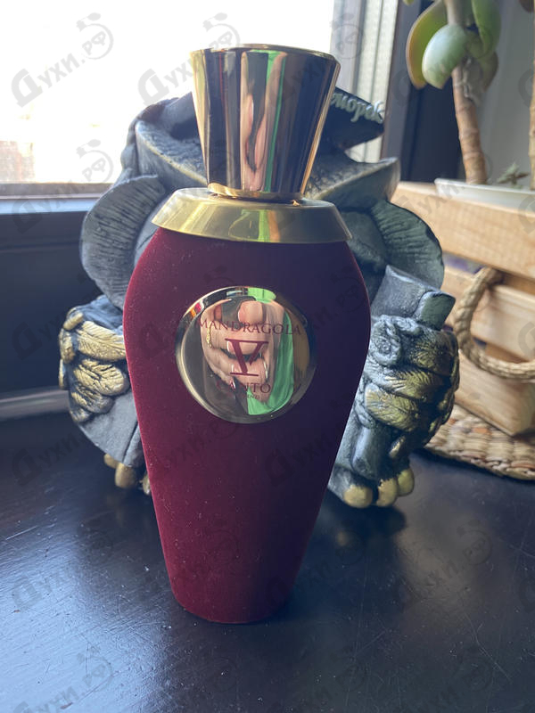 Духи Mandragola от V Canto