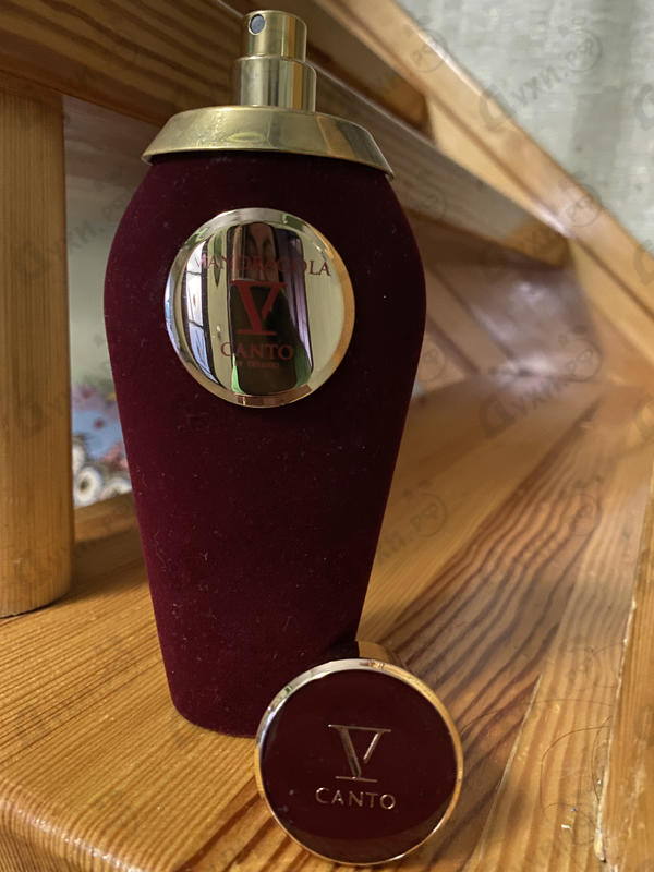 Купить Mandragola от V Canto
