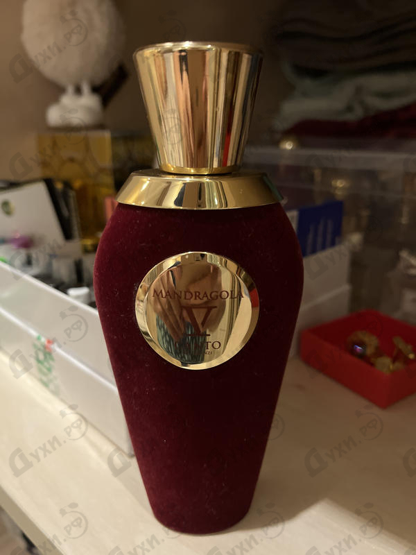 Духи Mandragola от V Canto