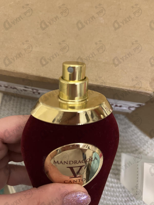 Парфюмерия Mandragola от V Canto