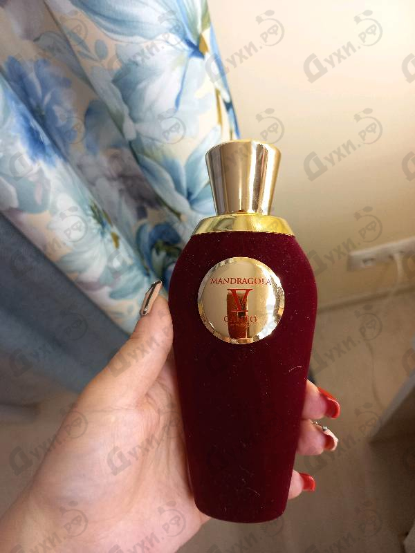 Отзыв V Canto Mandragola