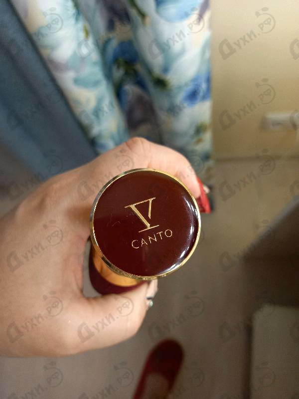 Парфюмерия Mandragola от V Canto