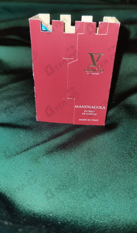 Парфюмерия Mandragola от V Canto