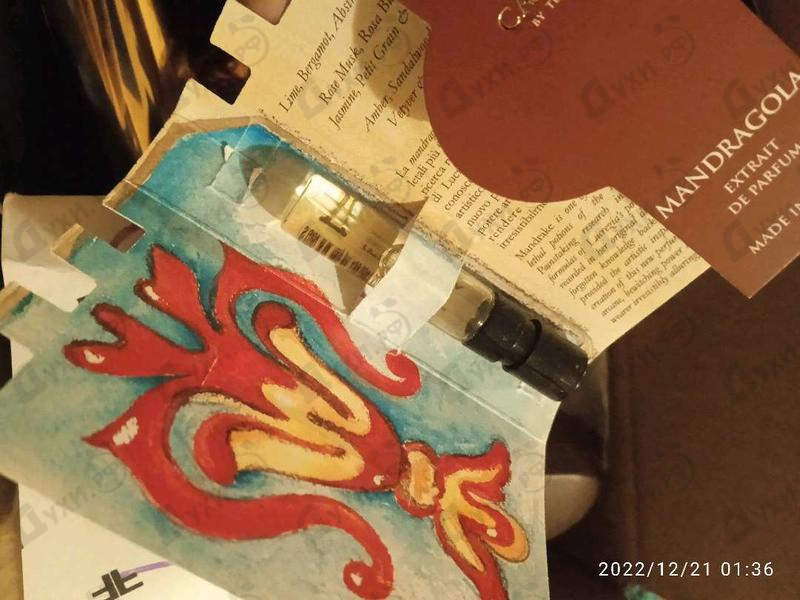 Купить Mandragola от V Canto