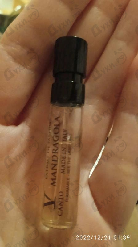Парфюмерия Mandragola от V Canto Отзывы V Canto Mandragola