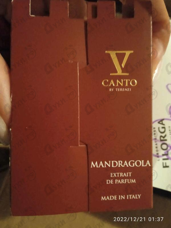 Парфюмерия Mandragola от V Canto