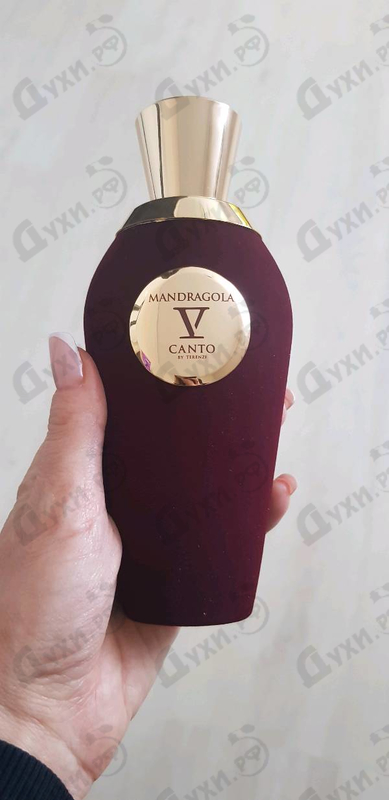 Отзывы V Canto Mandragola