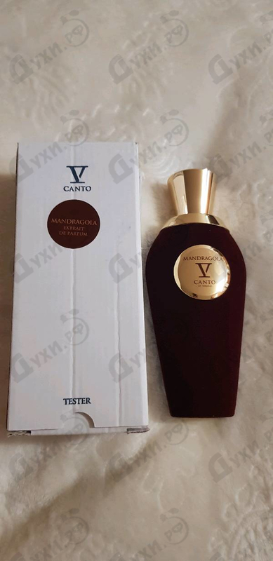 Купить V Canto Mandragola