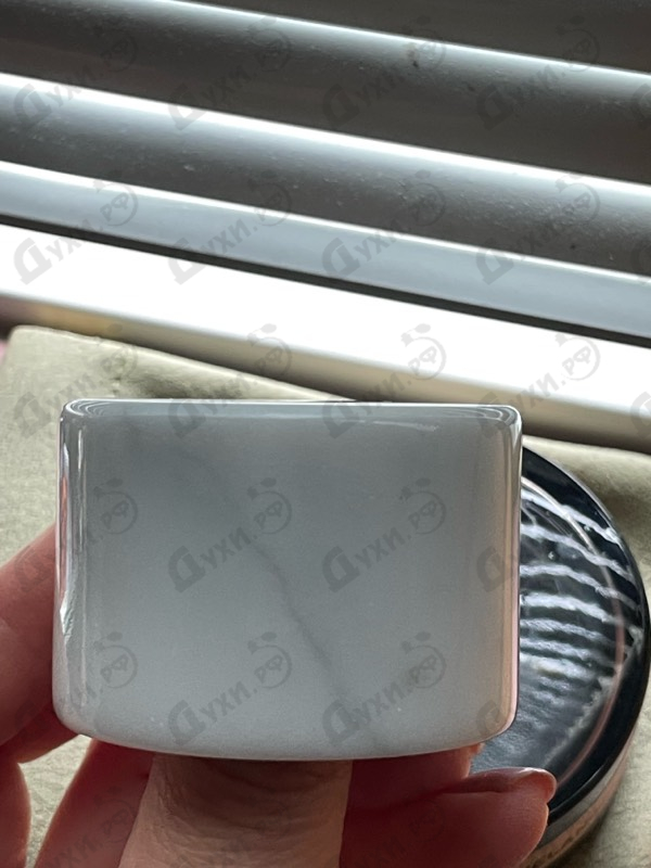 Купить Michelangelo от Onyrico