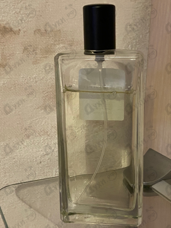 Парфюмерия Lime And Basil от Gandini 1896 Отзывы Gandini 1896 Lime And Basil