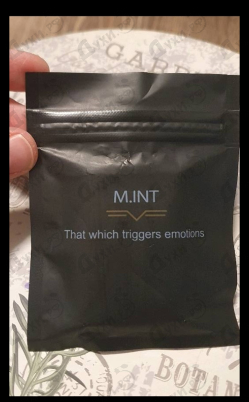 Отзывы M.INT Affecting Mind