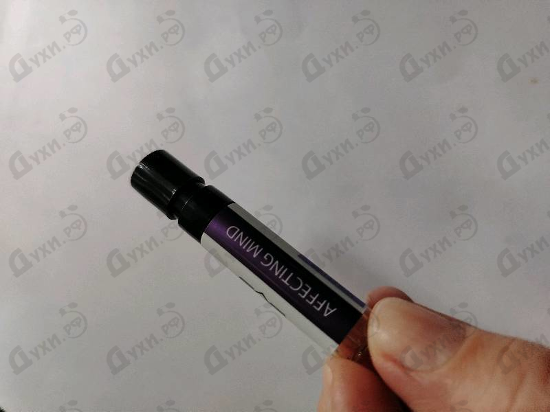 Купить Affecting Mind от M.INT