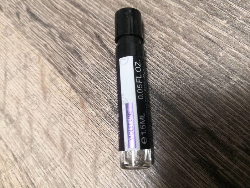 Купить Affecting Mind от M.INT