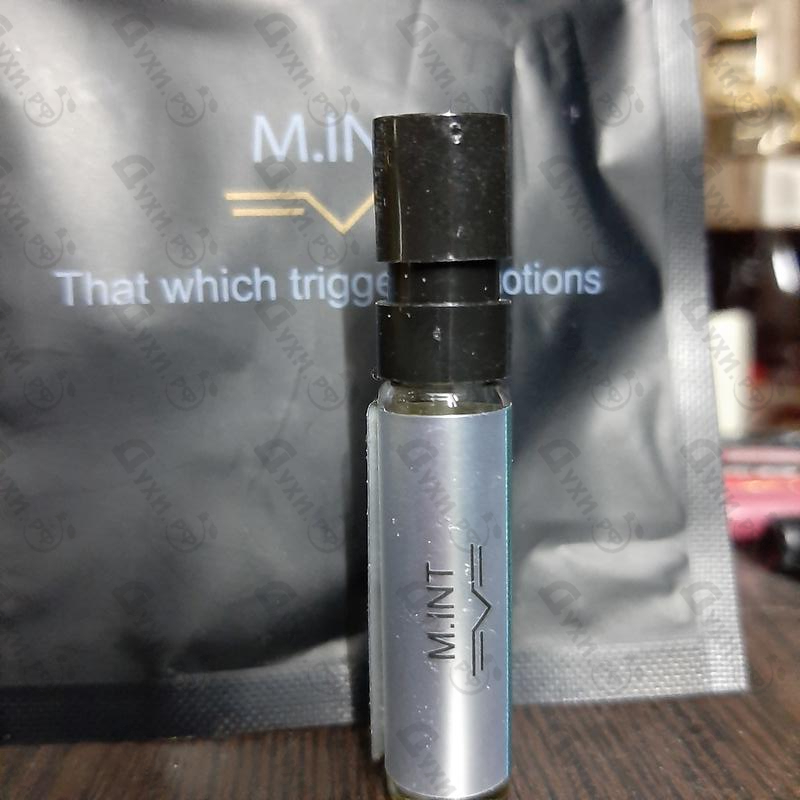 Купить M.INT The Smart Set