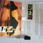 Духи Tamarindo от Memo