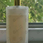 Отзыв Memo Tamarindo