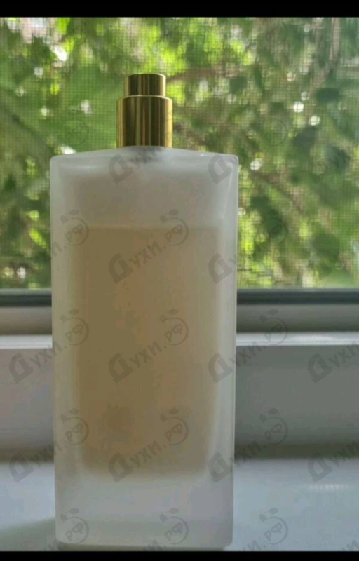 Отзыв Memo Tamarindo