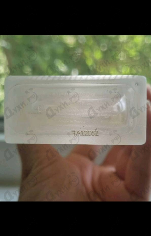 Парфюмерия Memo Tamarindo