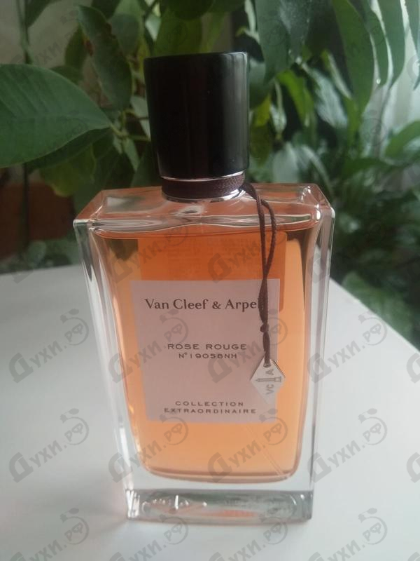 Духи Rose Rouge от Van Cleef & Arpels