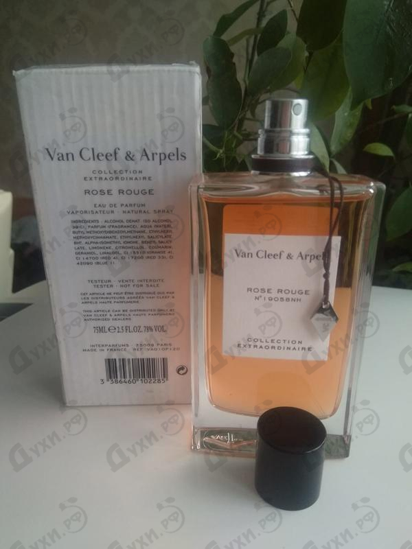 Купить Rose Rouge от Van Cleef & Arpels